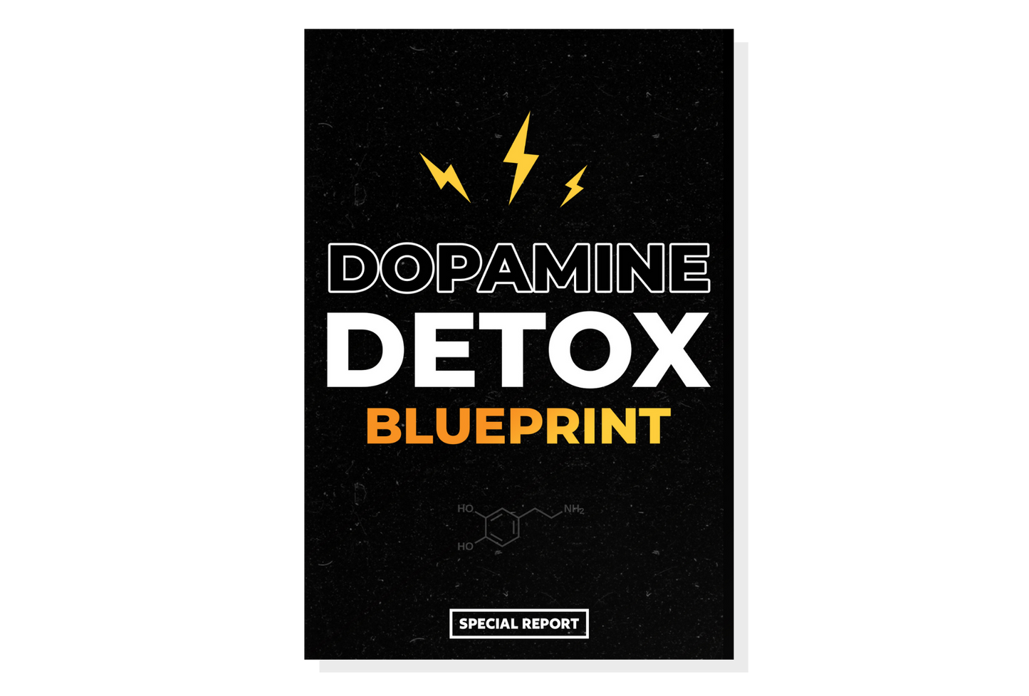 Dopamine Detox Blueprint Report