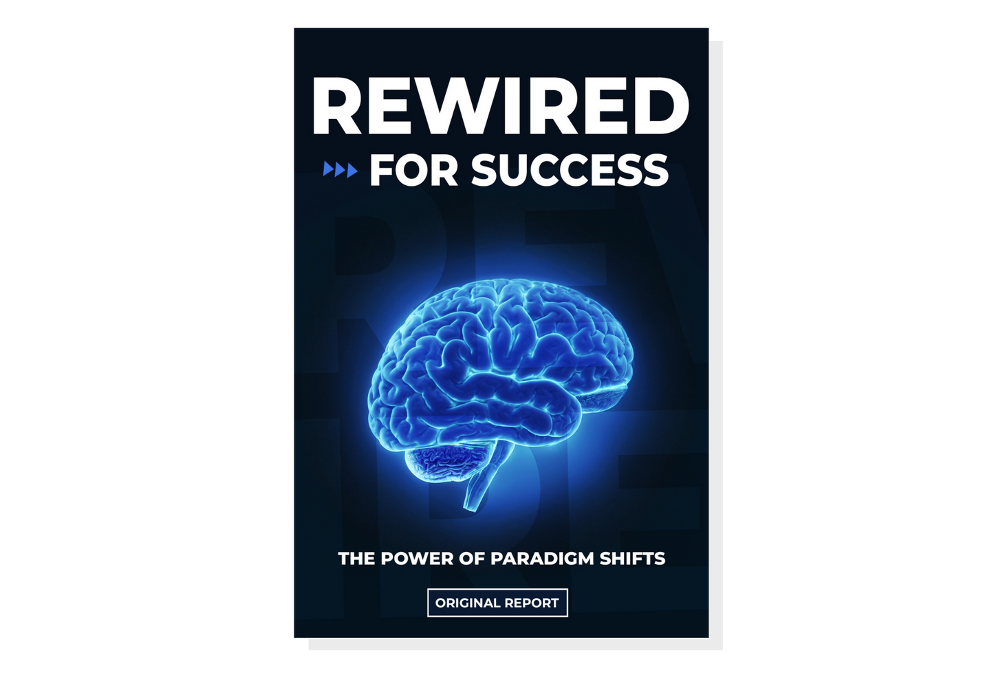 Rewired for Success Report