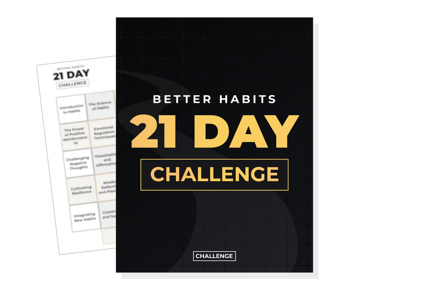 Better Habits 21 Day Challenge + Checklist