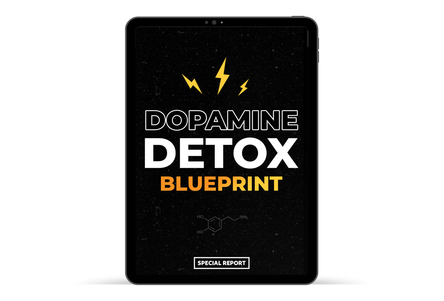 Dopamine Detox Blueprint Report