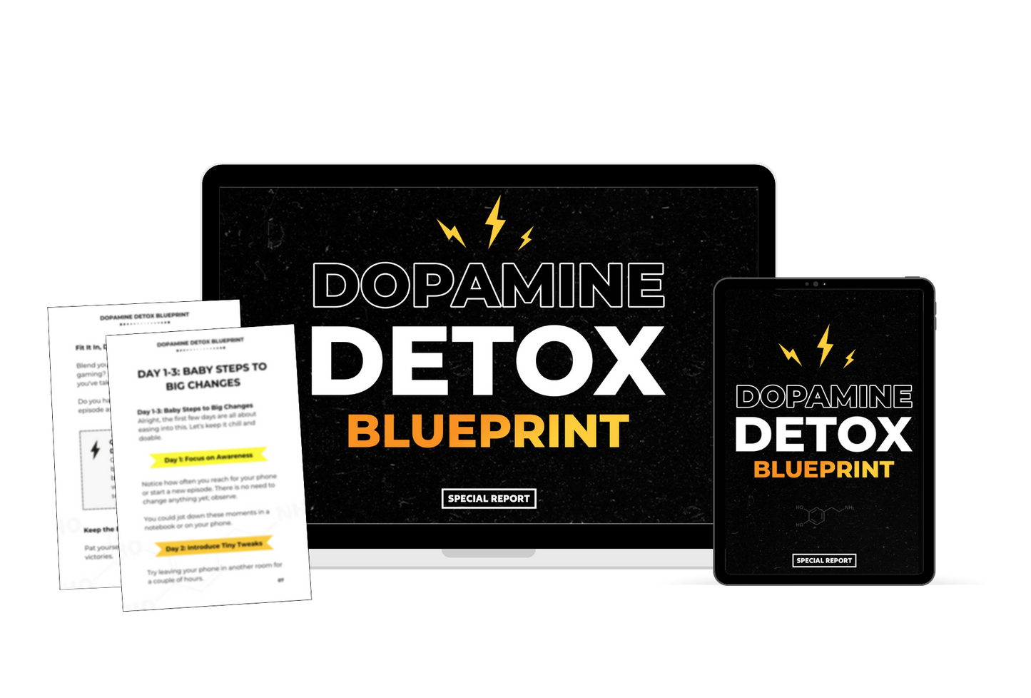 Dopamine Detox Blueprint Report