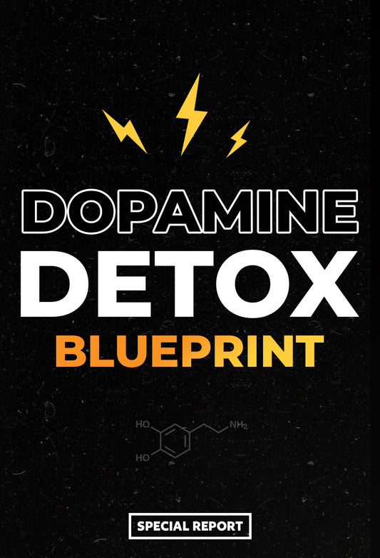 Dopamine Detox Blueprint Report