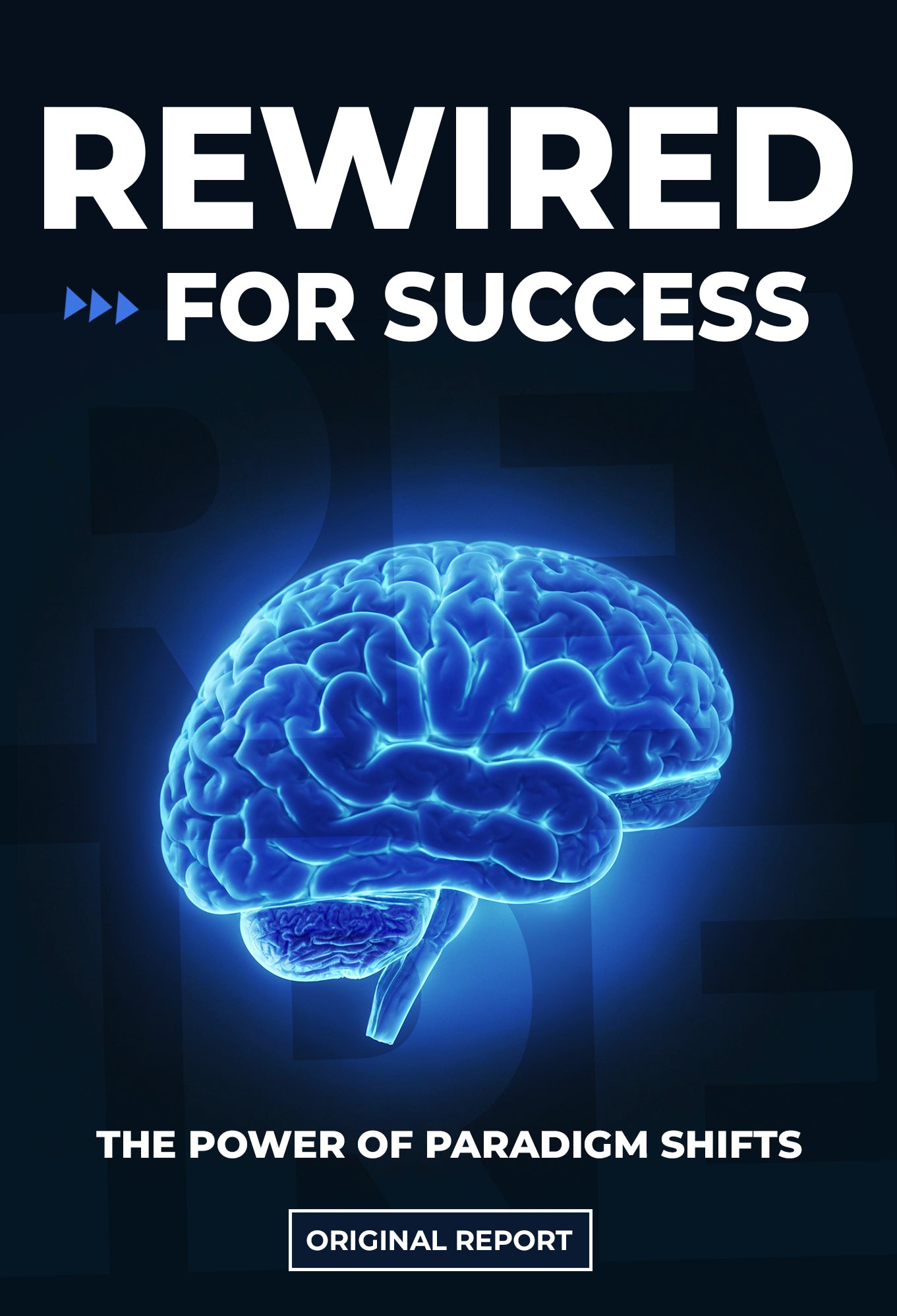 Rewired for Success Report